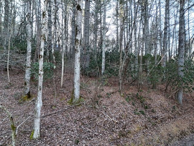 Lot 2 Papas Mountain Road, Blairsville, GA 30512