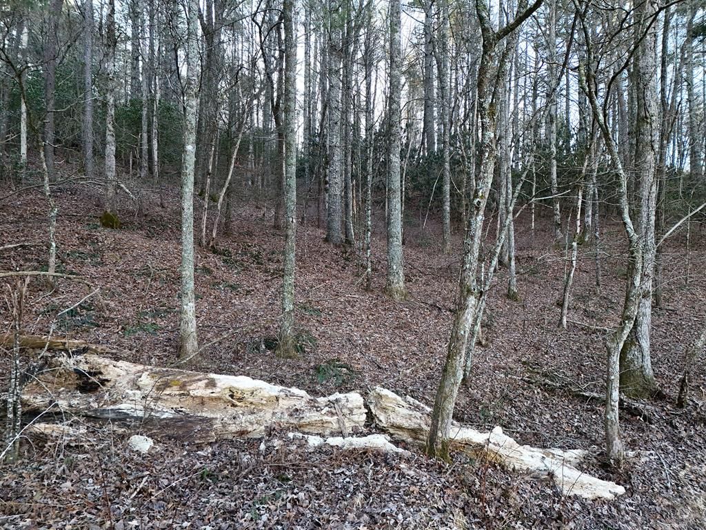 Lot 2 Papas Mountain Road, Blairsville, GA 30512