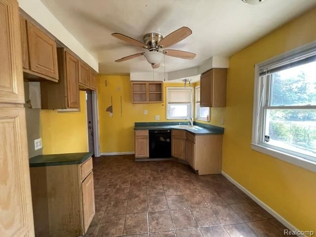 29451 Steinhauer Street, Inkster, MI 48141