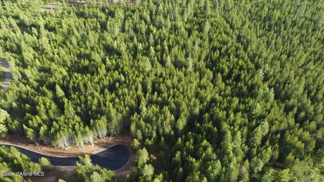 Parcel 75 North Doc Holliday, Spirit Lake, ID 83869