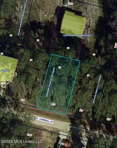 Nhn E Carroll Street, Bay Saint Louis, MS 39521