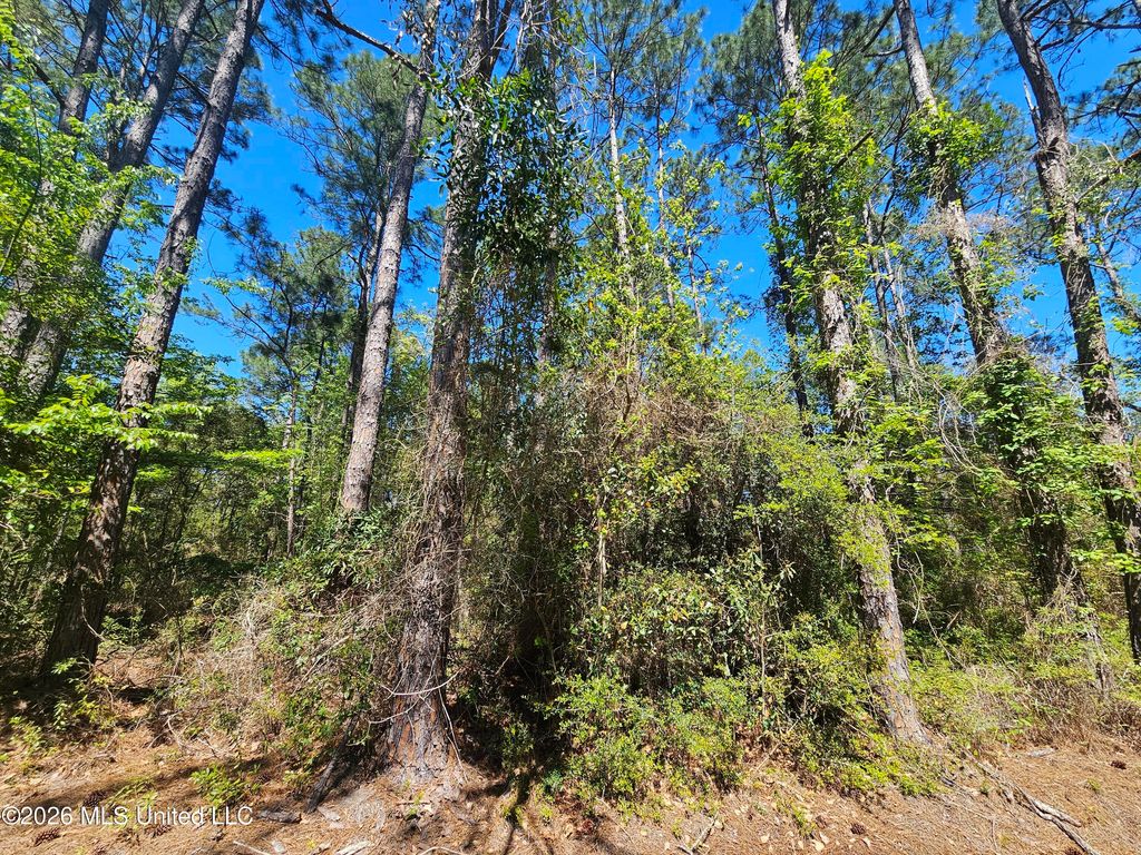 Nhn E Carroll Street, Bay Saint Louis, MS 39521