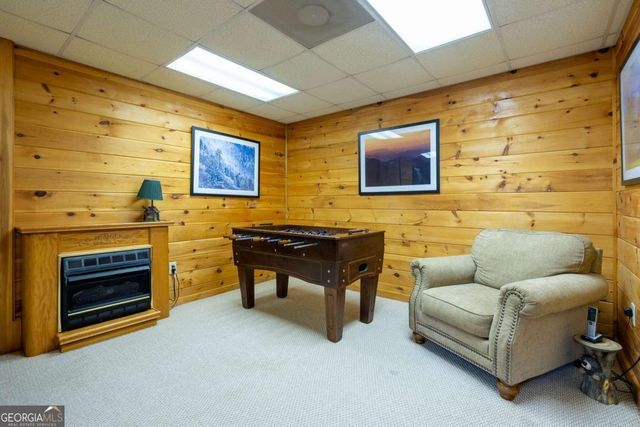 305 Martin Crossing, Cherry Log, GA 30522