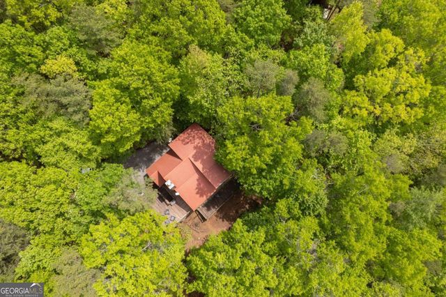 305 Martin Crossing, Cherry Log, GA 30522