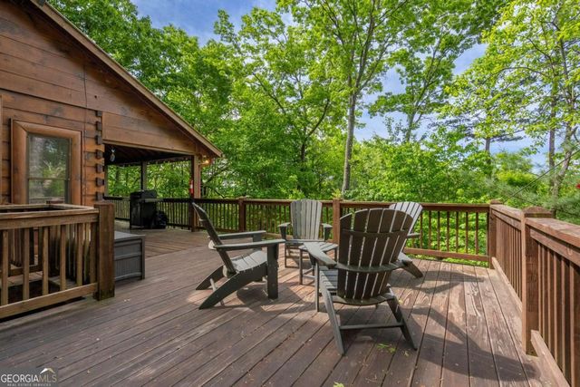 305 Martin Crossing, Cherry Log, GA 30522