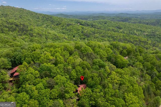305 Martin Crossing, Cherry Log, GA 30522