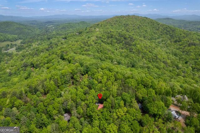 305 Martin Crossing, Cherry Log, GA 30522