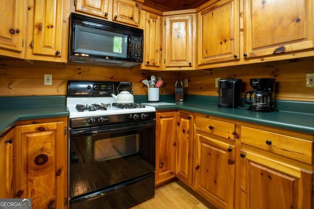 305 Martin Crossing, Cherry Log, GA 30522