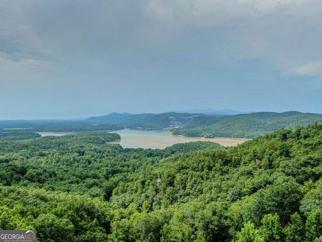 965 Raccoon Ridge NE, Ranger, GA 30734