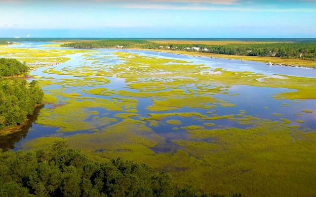 3873 Summerton Street, Mount Pleasant, SC 29466