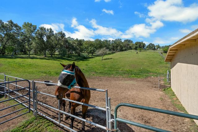 3350 Rattlesnake Rd, Newcastle, CA 95658