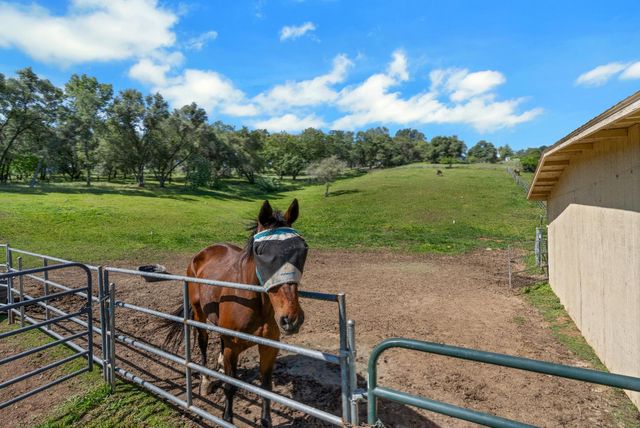 3350 Rattlesnake Rd, Newcastle, CA 95658