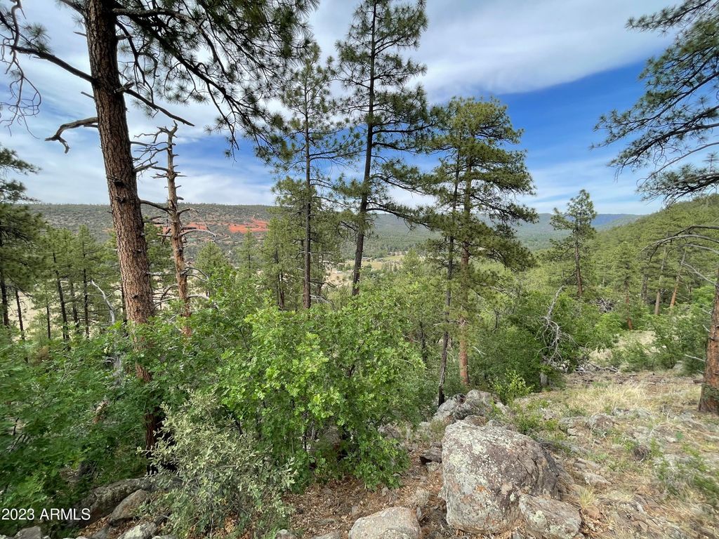 Image 3 of property listing at 4770 N Pine Shadows Lane 2, Pine, AZ 85544