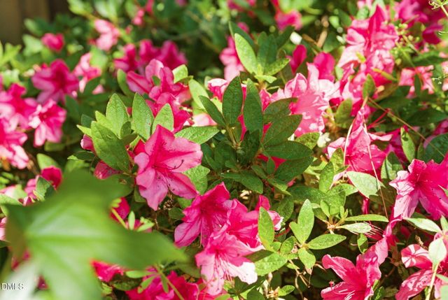 7208 Shepstone Place, Wake Forest, NC 27587