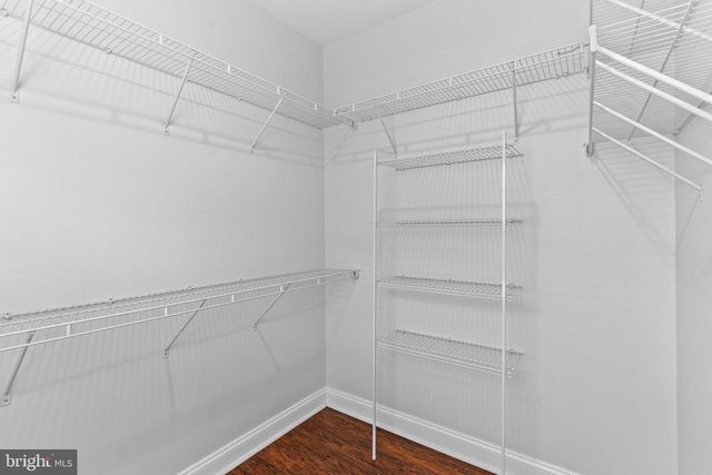 14162 HARO TRL, Gainesville, VA 20155