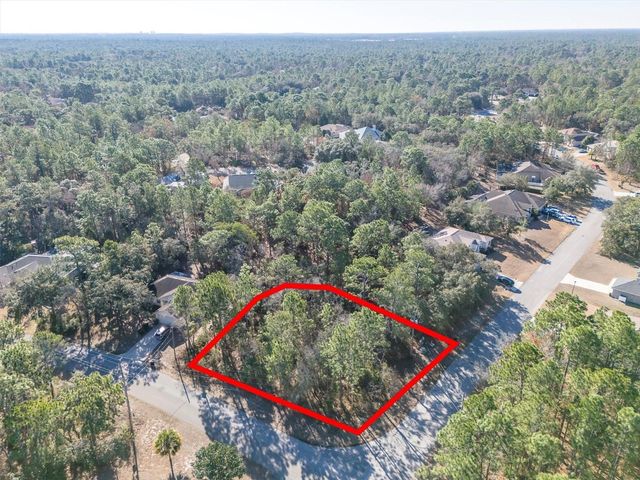 30 BELLS OF IRELAND COURT, Homosassa, FL 34446