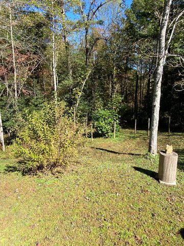 569 Dover Chapel Road, Ellijay, GA 30540