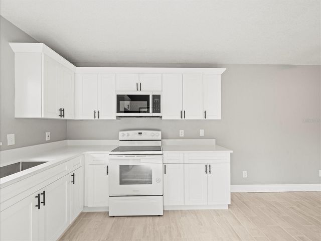 15407 W POND WOODS DRIVE 15407, Tampa, FL 33618