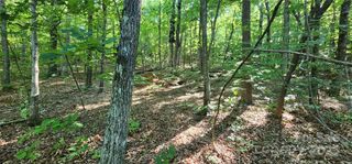 Lot 71 Serpentine Drive 71, Columbus, NC 28722