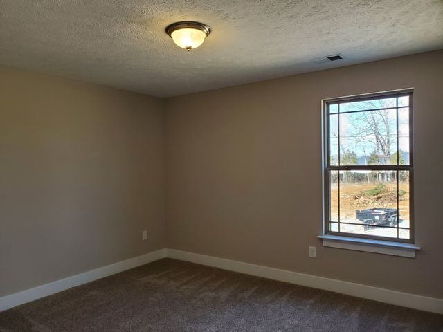 2910 Valley Farms Drive, Christiana, TN 37037