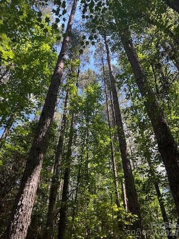 0 Broadwater Drive 168, Granite Falls, NC 28630