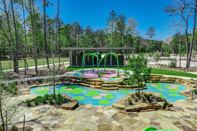 17373 Amaryllis Lane, Conroe, TX 77302