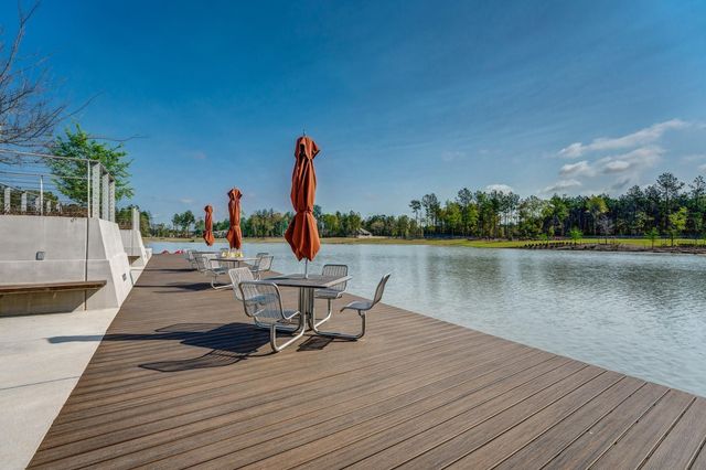 17373 Amaryllis Lane, Conroe, TX 77302