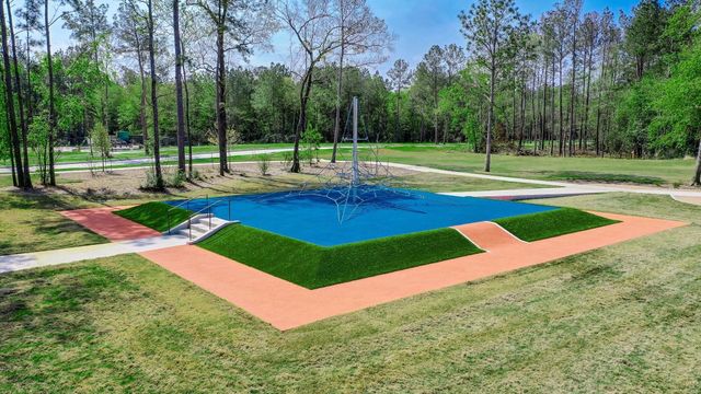 17373 Amaryllis Lane, Conroe, TX 77302