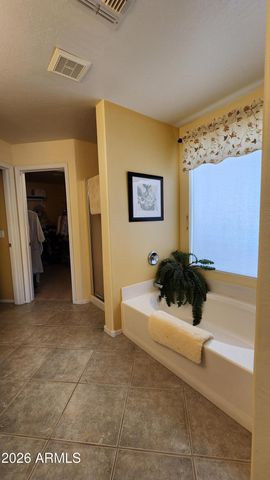 4291 S LOUIE LAMOUR Drive, Gold Canyon, AZ 85118