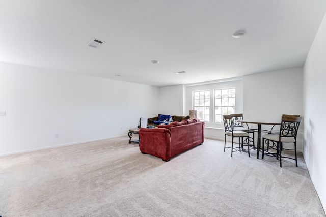 338 Shady Cedar Hill Lane, Conroe, TX 77378