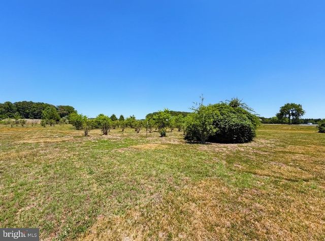 6351 RAY RD, Bridgeville, DE 19933