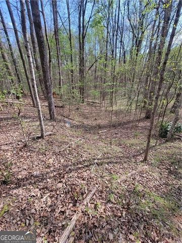 4230 Belvedere Drive, Gainesville, GA 30506