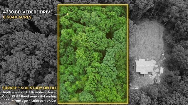 4230 Belvedere Drive, Gainesville, GA 30506