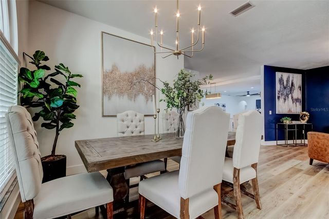 11230 BLOOMINGTON DRIVE, Tampa, FL 33635