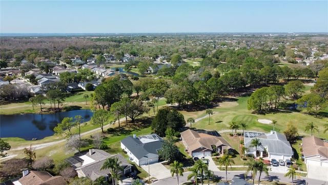 11230 BLOOMINGTON DRIVE, Tampa, FL 33635