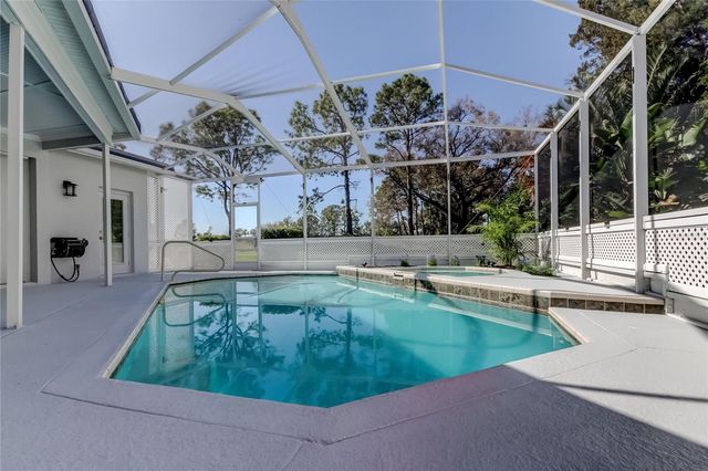 11230 BLOOMINGTON DRIVE, Tampa, FL 33635