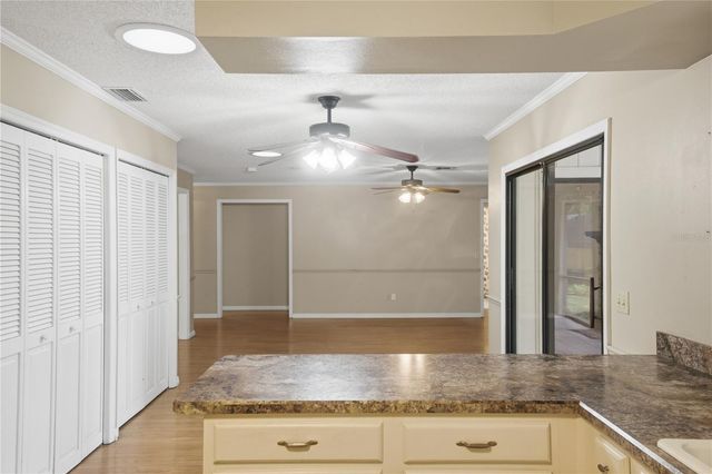 544 BLACK IRONWOOD DRIVE, Deland, FL 32724