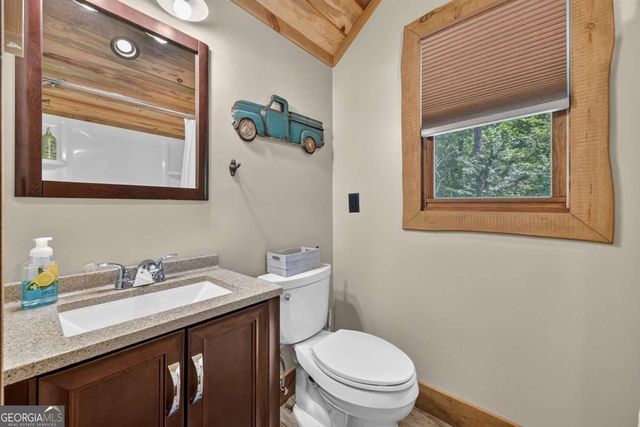 274 Hothouse Drive, Mineral Bluff, GA 30559