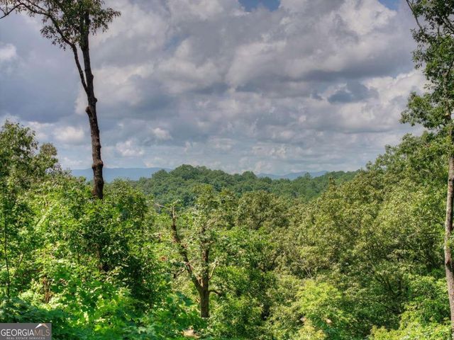 274 Hothouse Drive, Mineral Bluff, GA 30559