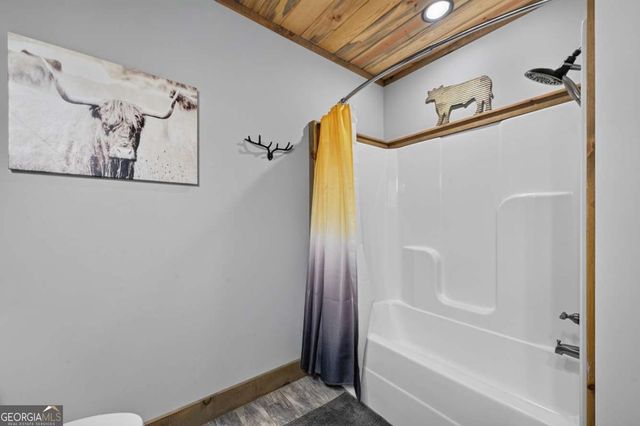 274 Hothouse Drive, Mineral Bluff, GA 30559