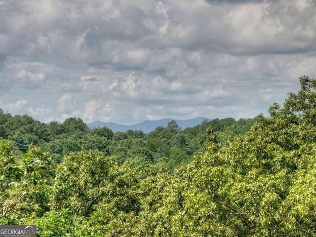 274 Hothouse Drive, Mineral Bluff, GA 30559