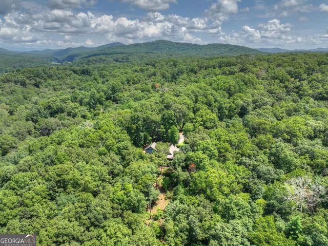 274 Hothouse Drive, Mineral Bluff, GA 30559