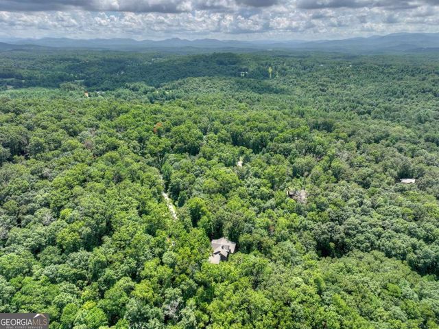 274 Hothouse Drive, Mineral Bluff, GA 30559