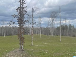 003 TRUMAN ALDRICH PARKWAY, West Blocton, AL 35184