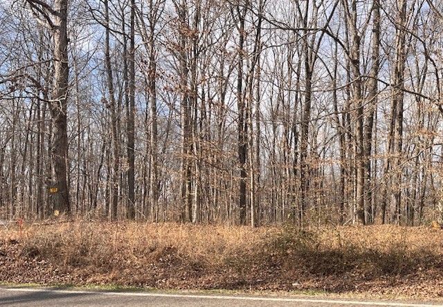 0 MT PLEASANT RD, Kingston Springs, TN 37082