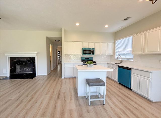 13038 Skymeadow Drive, Houston, TX 77082