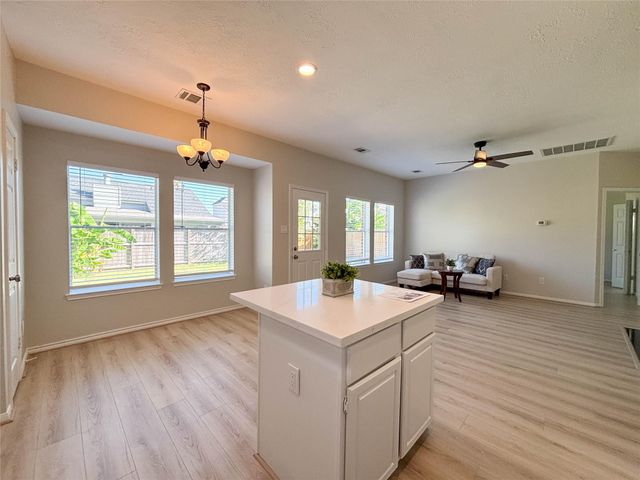 13038 Skymeadow Drive, Houston, TX 77082