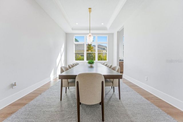 15820 PENDIO DRIVE, Montverde, FL 34756