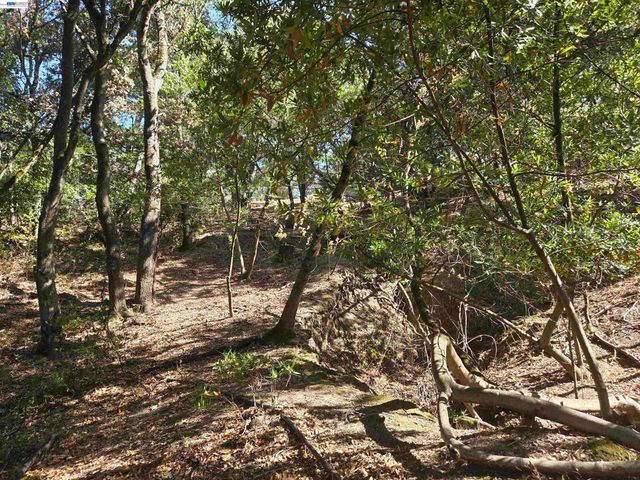 12 Vista Del Orinda, Orinda, CA 94563