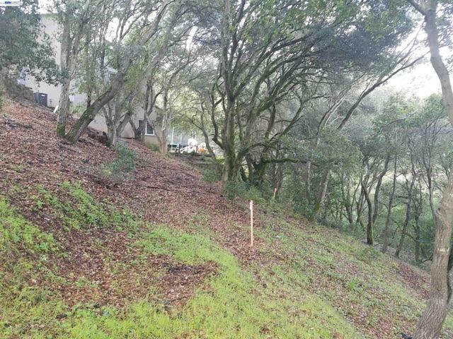 12 Vista Del Orinda, Orinda, CA 94563